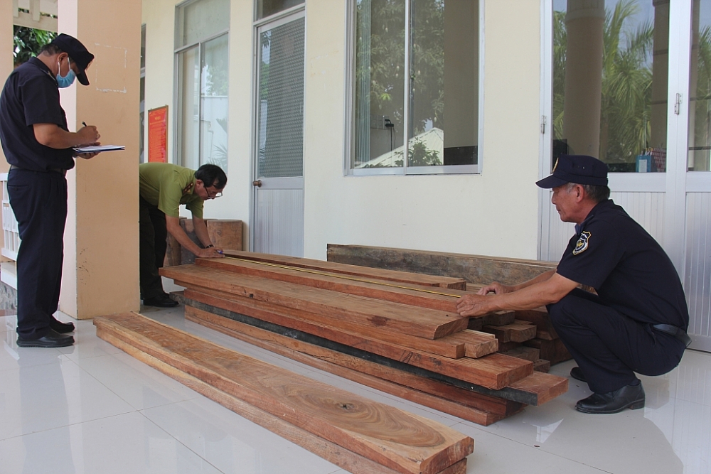 Tạm giữ khối lượng lớn gỗ nhập lậu từ Campuchia